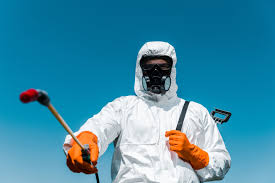 Best Organic or Eco-Friendly Pest Control  in Montour Falls, NY